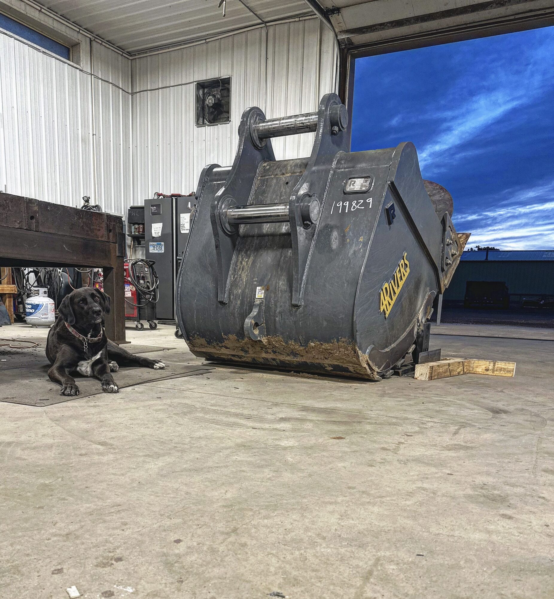 The ArcWest shop dog standing next to a heavy excavator clamshell at the shop